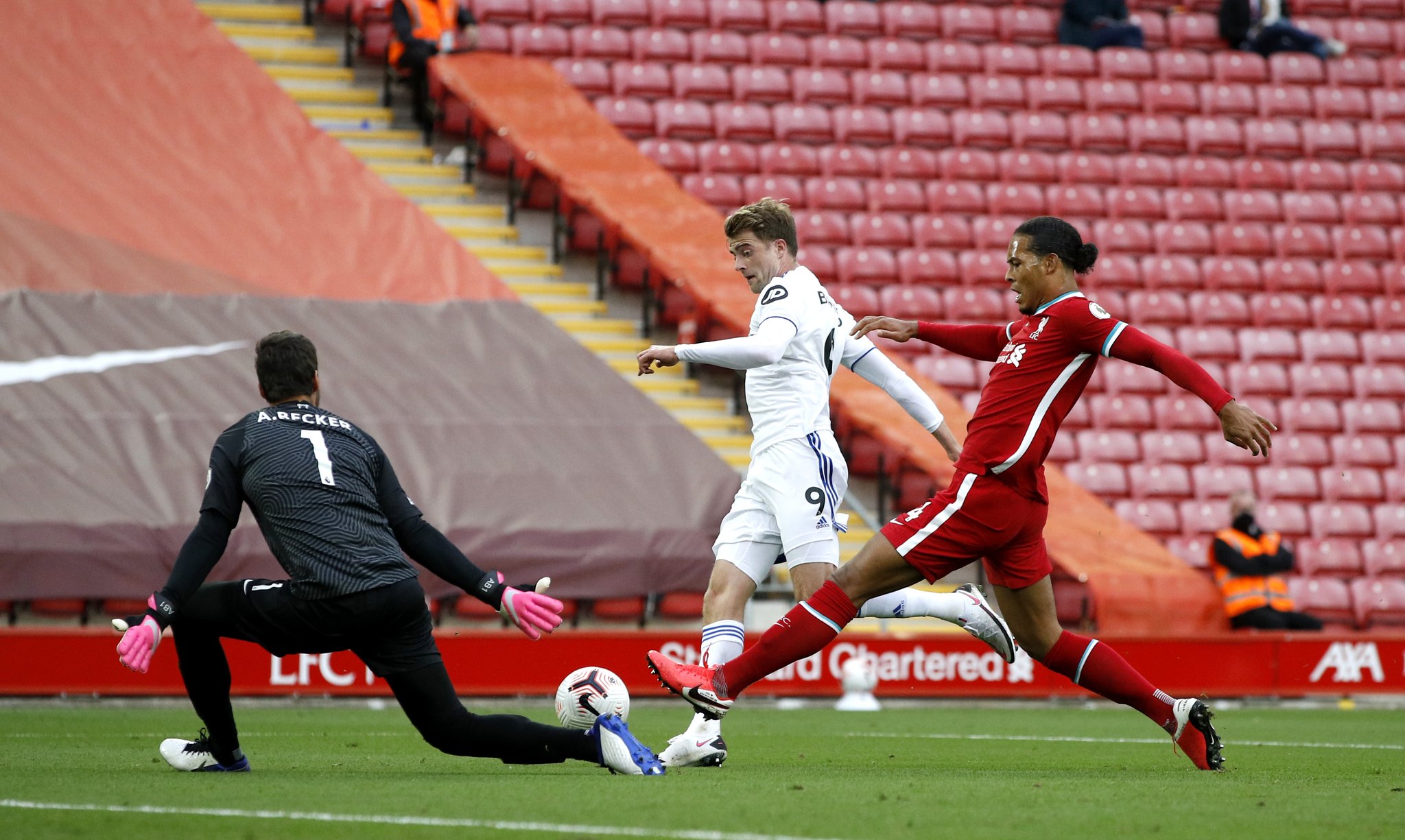 展现了他们 展现了他们